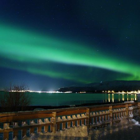 Vikran Vacation: Sea Fishing And Northern Lights Екстериор снимка