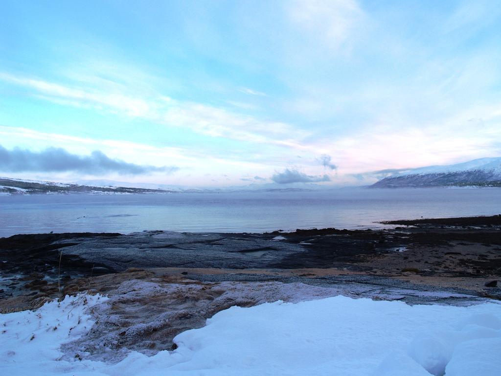 Vikran Vacation: Sea Fishing And Northern Lights Екстериор снимка