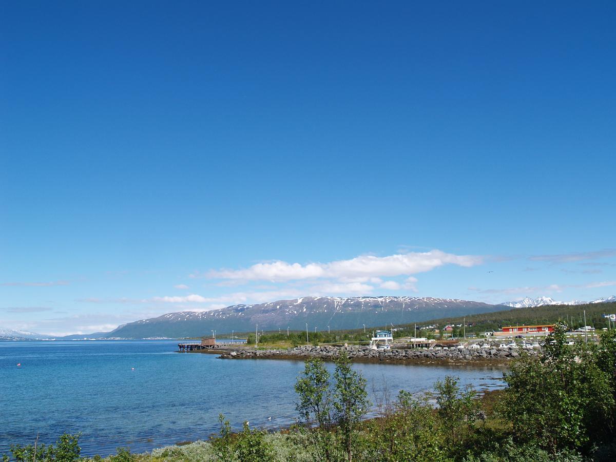 Vikran Vacation: Sea Fishing And Northern Lights Екстериор снимка