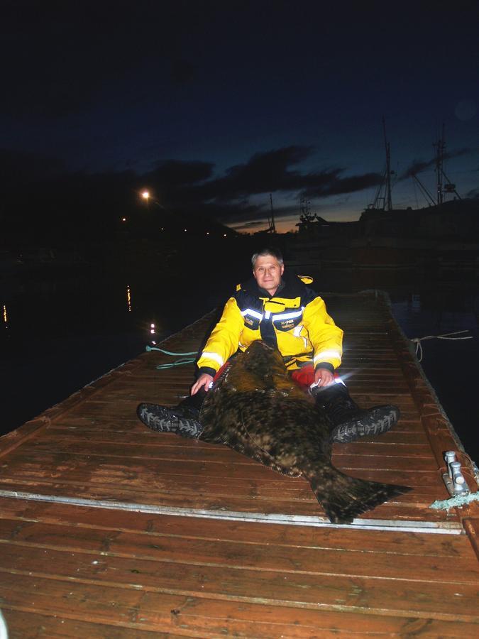 Vikran Vacation: Sea Fishing And Northern Lights Екстериор снимка