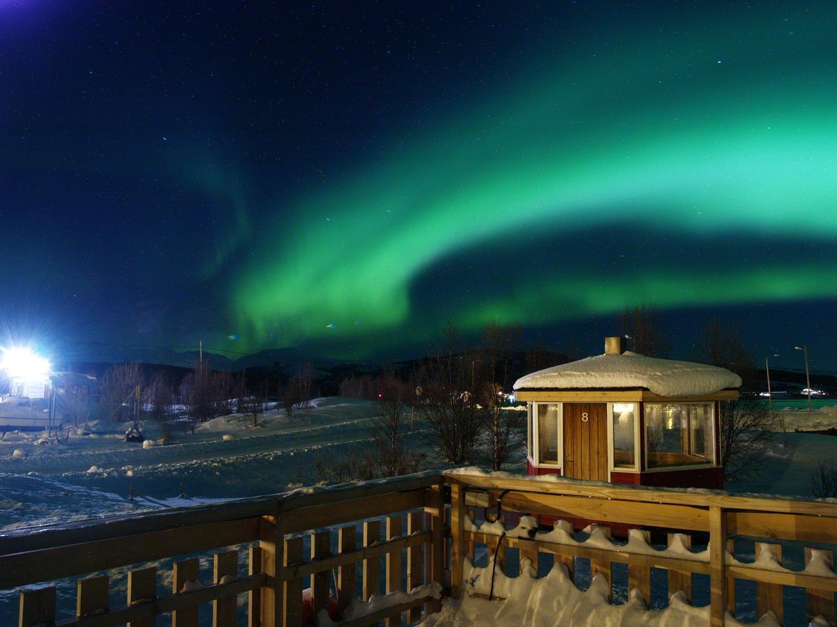 Vikran Vacation: Sea Fishing And Northern Lights Екстериор снимка
