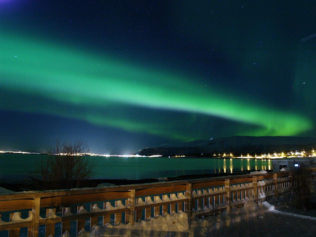 Vikran Vacation: Sea Fishing And Northern Lights Екстериор снимка