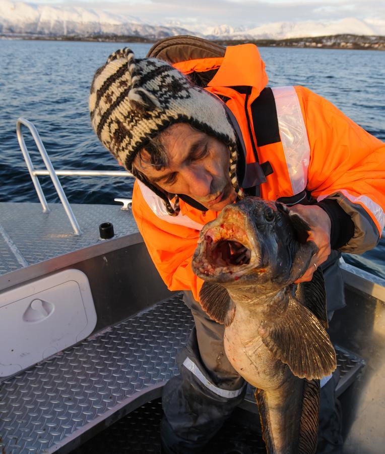 Vikran Vacation: Sea Fishing And Northern Lights Екстериор снимка