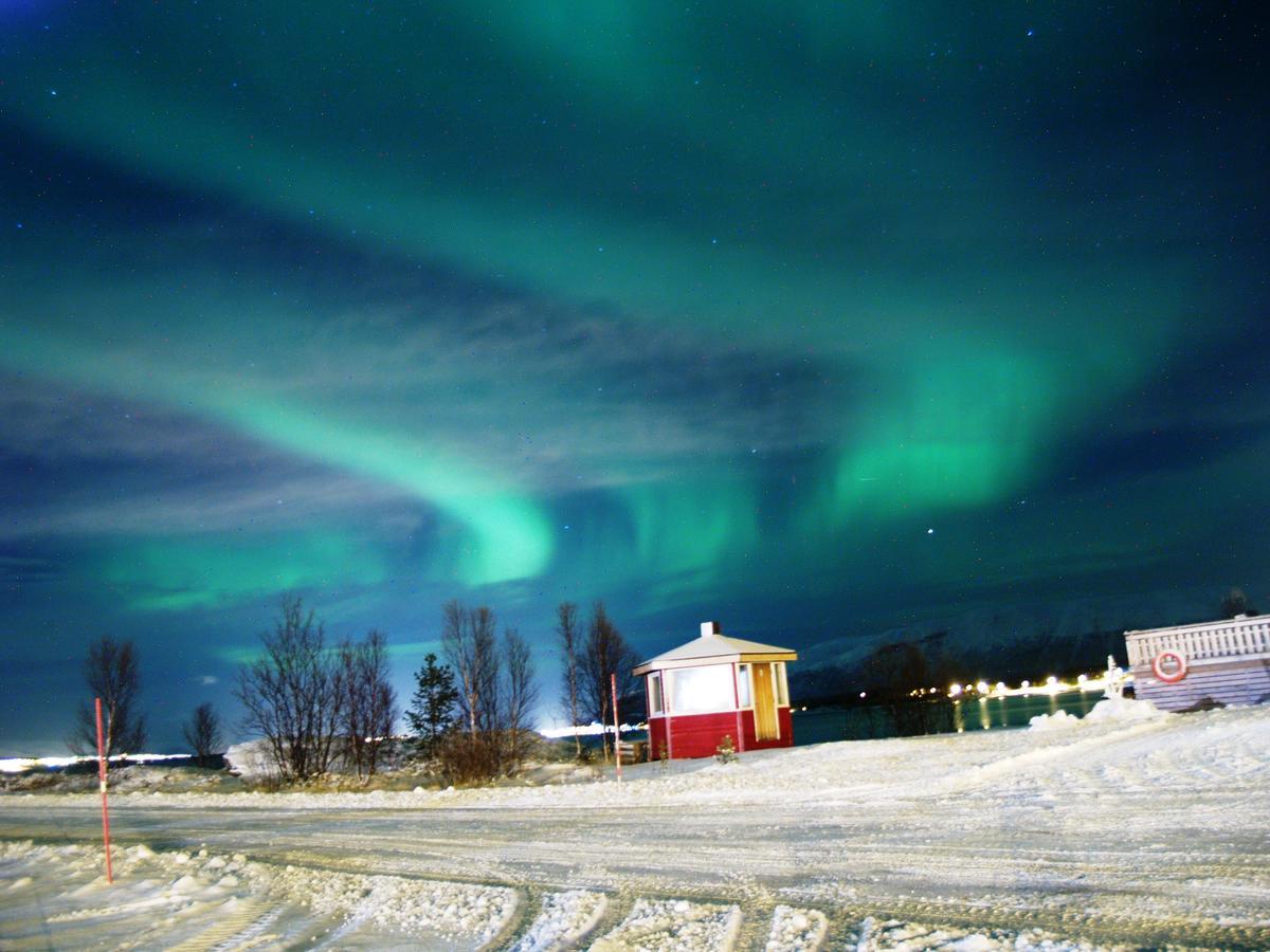 Vikran Vacation: Sea Fishing And Northern Lights Екстериор снимка