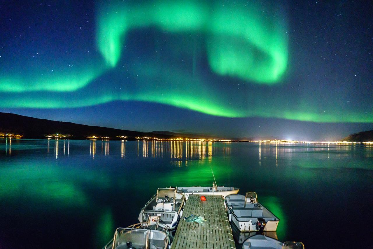 Vikran Vacation: Sea Fishing And Northern Lights Екстериор снимка