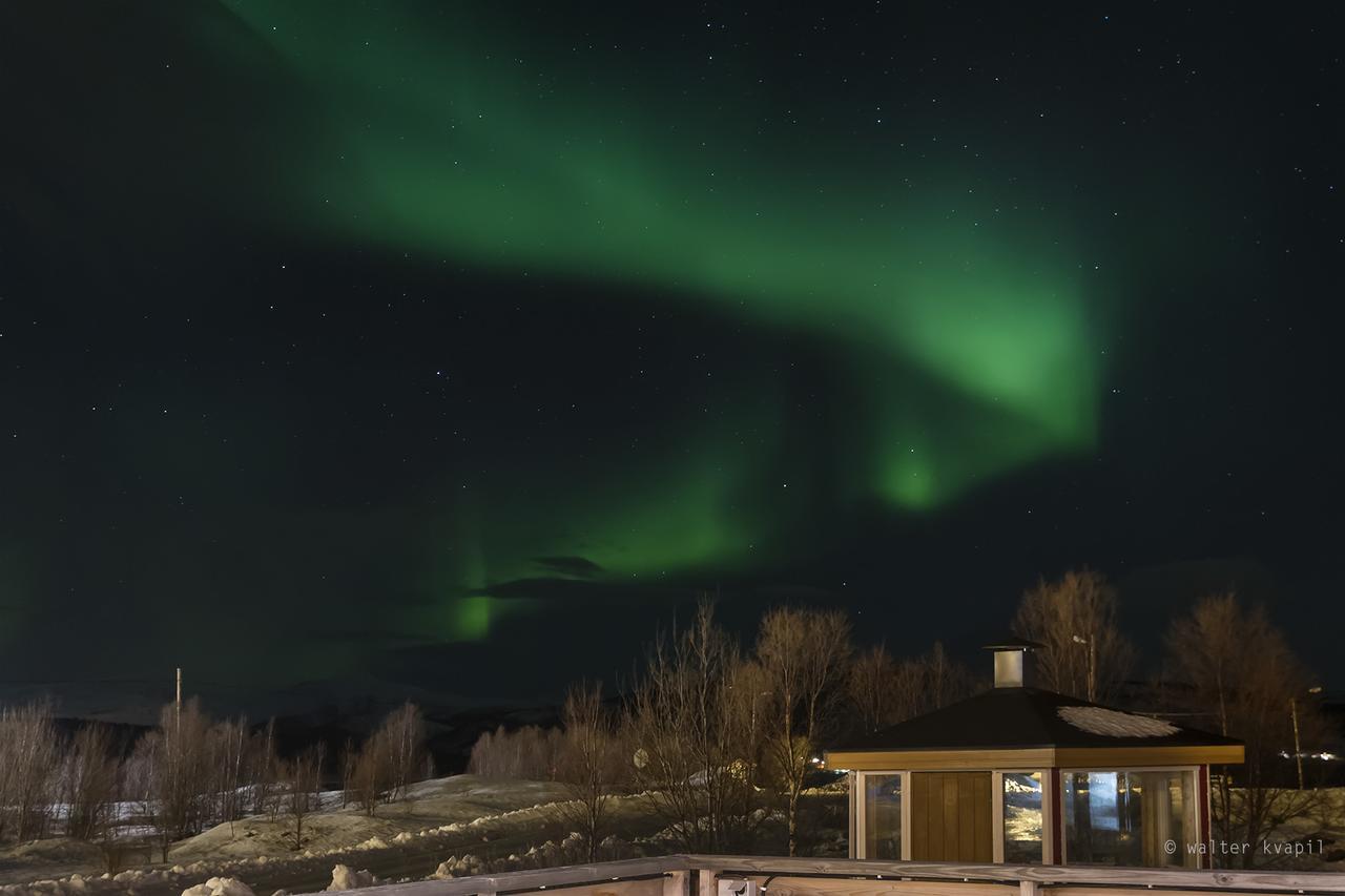 Vikran Vacation: Sea Fishing And Northern Lights Екстериор снимка