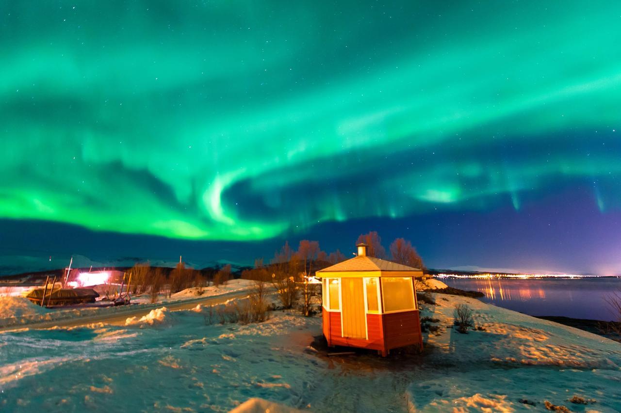 Vikran Vacation: Sea Fishing And Northern Lights Екстериор снимка